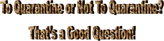 To Quarantine or Not To Quarantine?
That’s a Good Question!